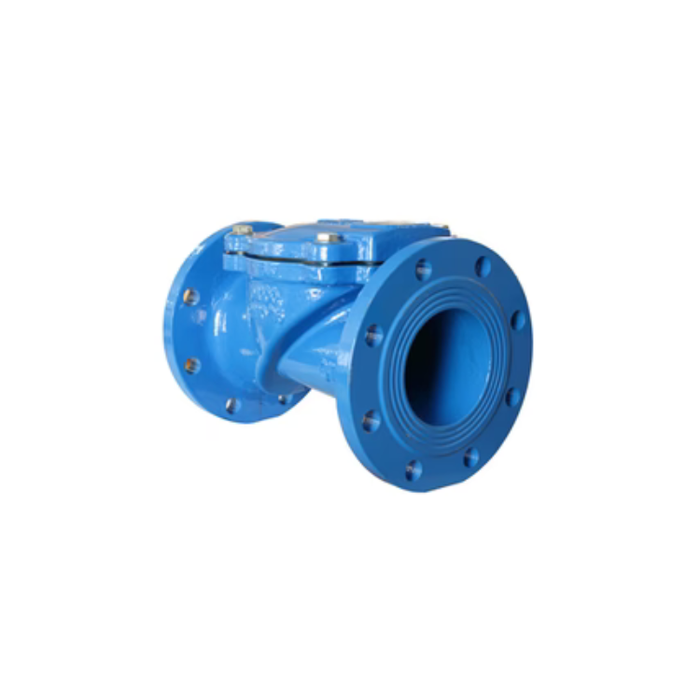 Check Valve