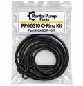 Pioneer PP66S10 O-Ring Kit