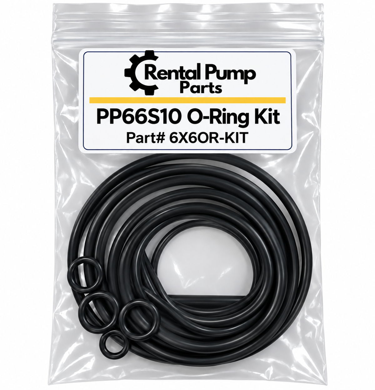Pioneer PP66S10 O-Ring Kit