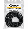 Pioneer PP66S12 O-Ring Kit