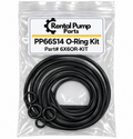 Pioneer PP66S14 O-Ring Kit