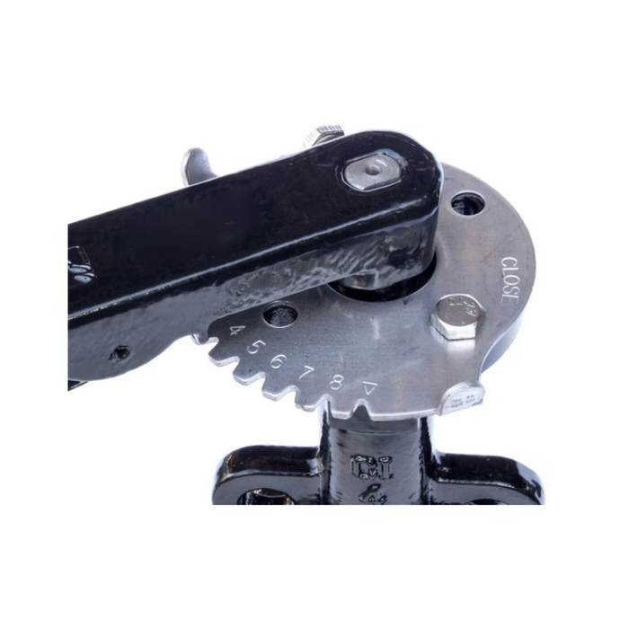 4" Cast Iron Butterfly Valve Wafer Style