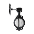 8" Cast Iron Butterfly Valve Wafer Style
