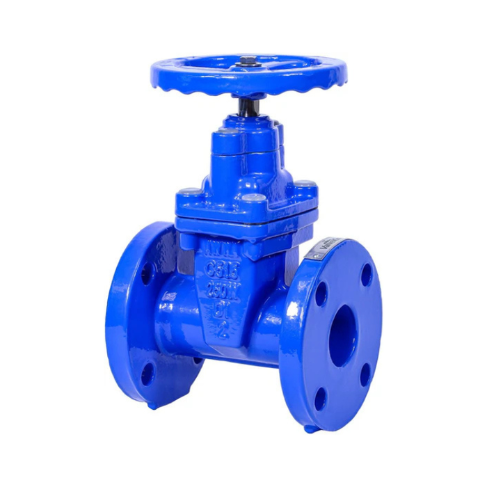 2" Ductile Iron Gate Valve Resilient Wedge NRS