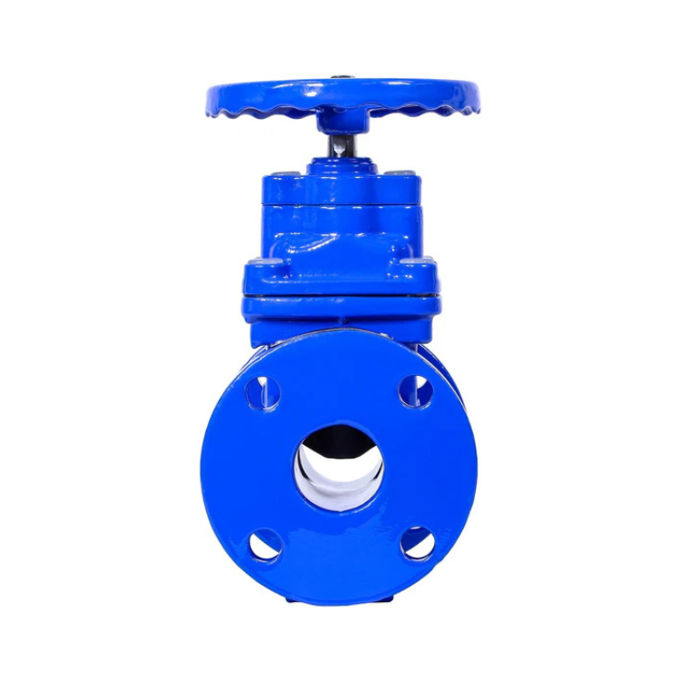 2" Ductile Iron Gate Valve Resilient Wedge NRS