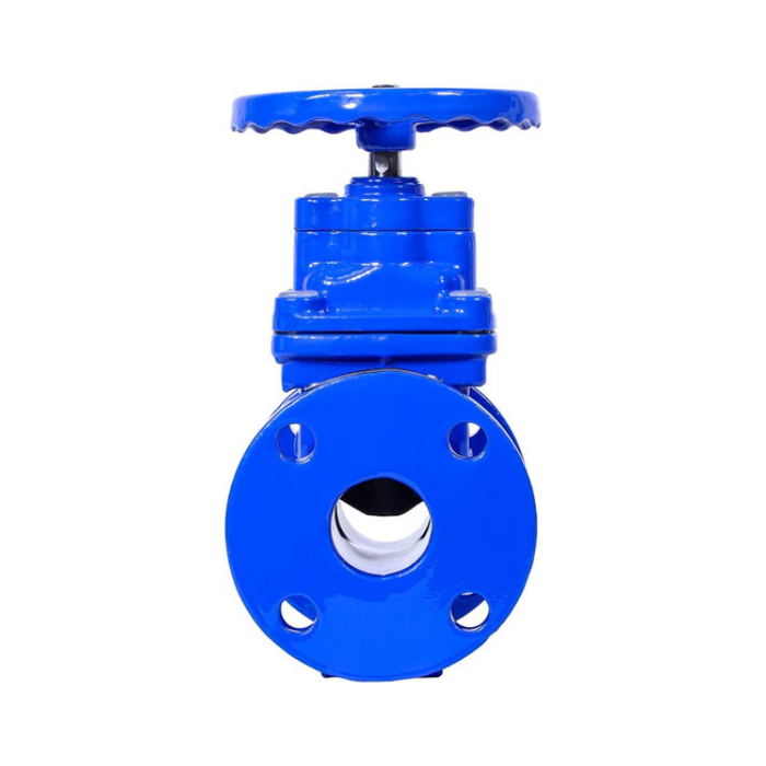 2" Ductile Iron Gate Valve Resilient Wedge NRS