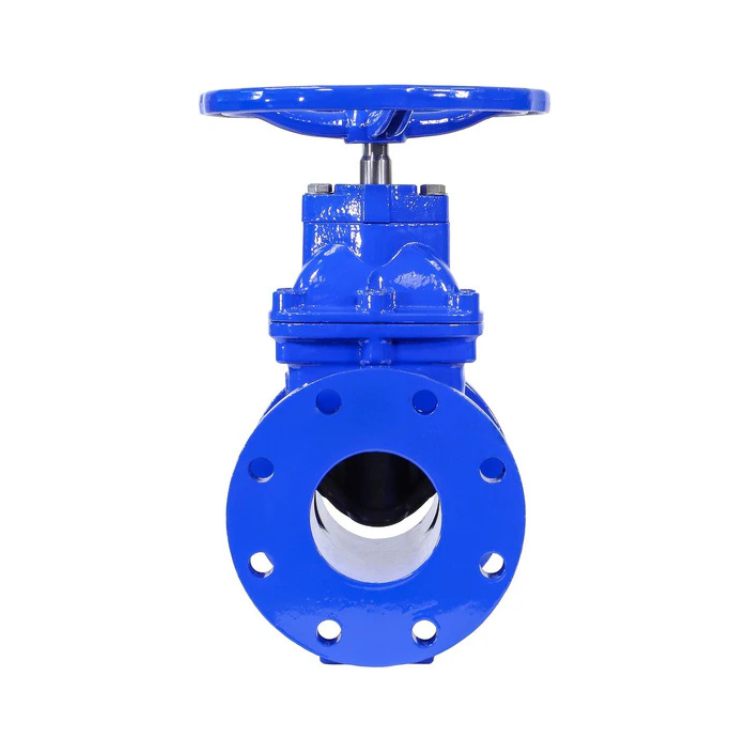 6" Ductile Iron Gate Valve Resilient Wedge NRS