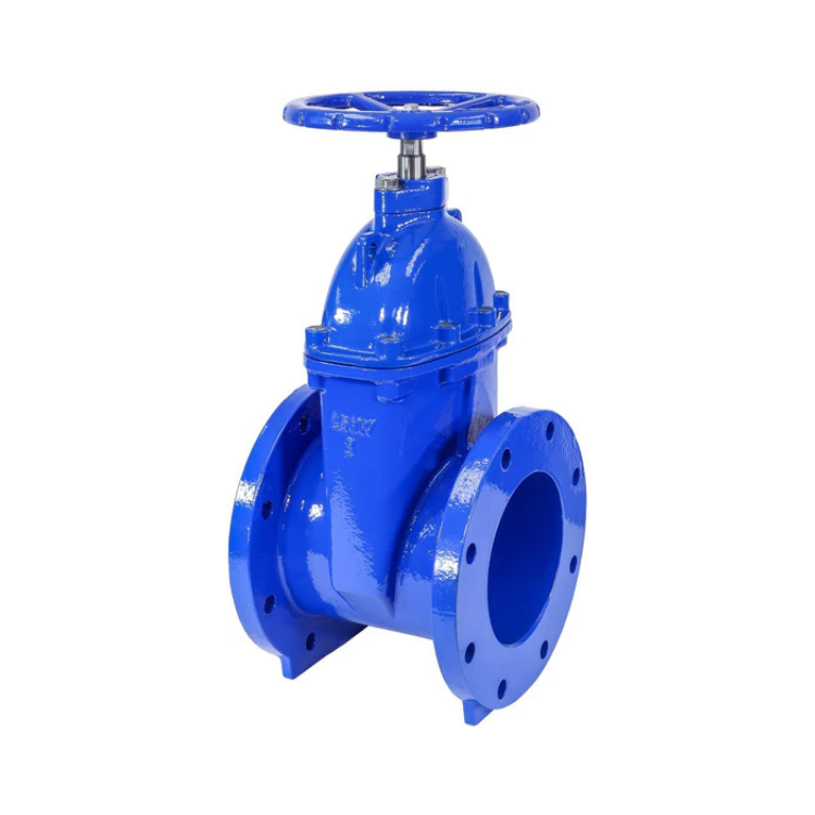 8" Ductile Iron Gate Valve Resilient Wedge NRS