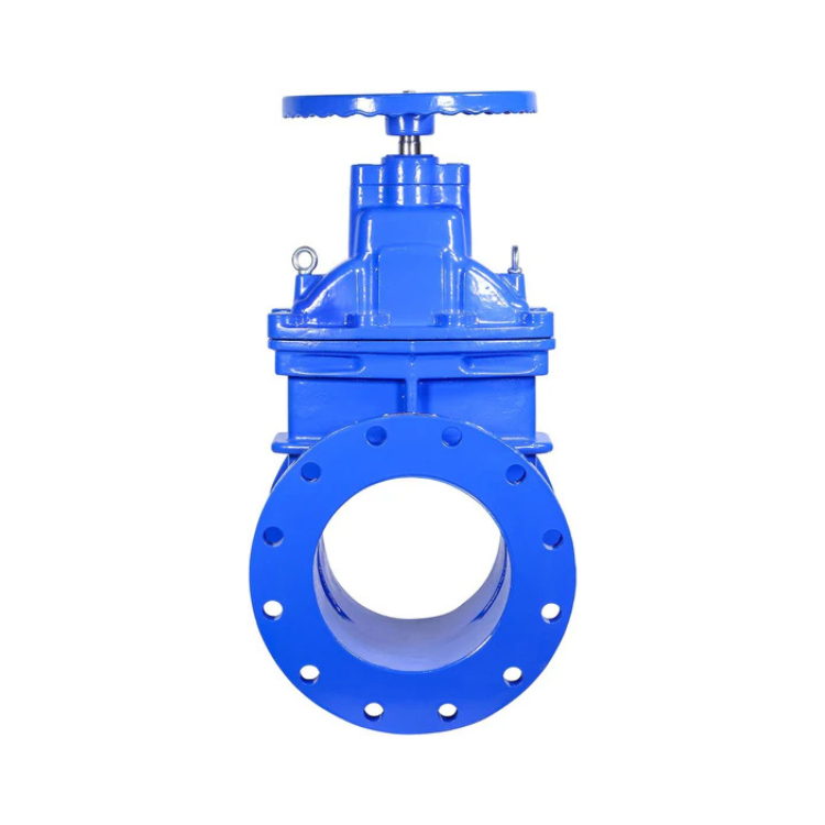 10" Ductile Iron Gate Valve Resilient Wedge NRS
