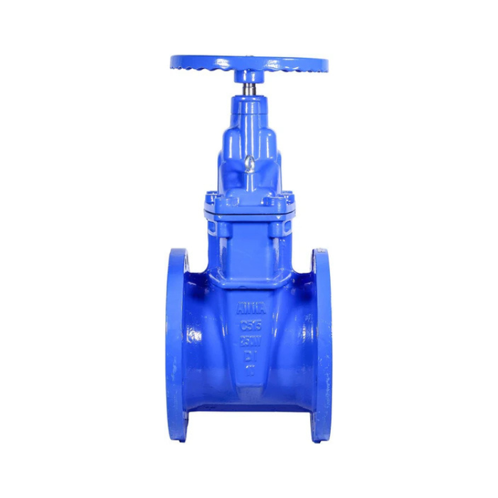10" Ductile Iron Gate Valve Resilient Wedge NRS
