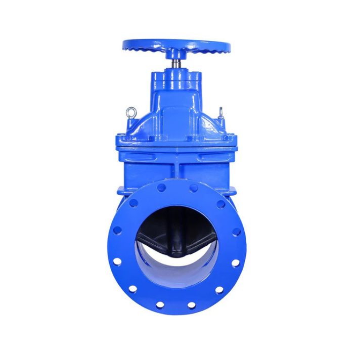 10" Ductile Iron Gate Valve Resilient Wedge NRS