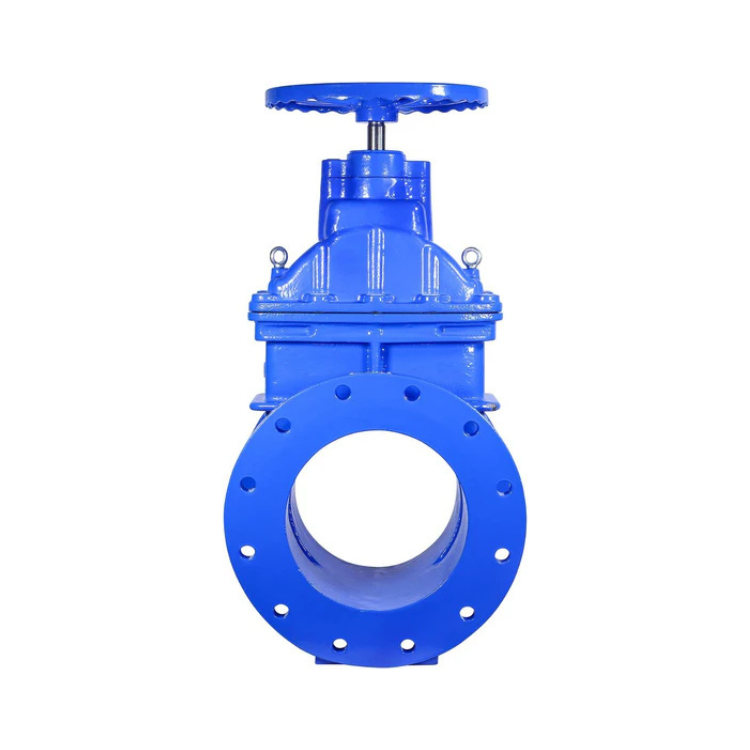 12" Ductile Iron Gate Valve Resilient Wedge NRS