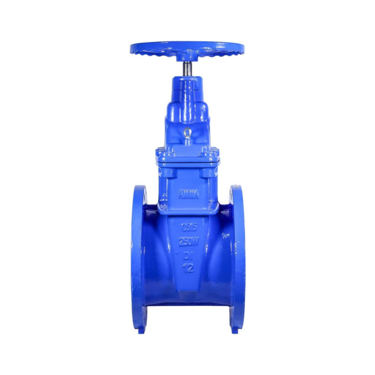 12" Ductile Iron Gate Valve Resilient Wedge NRS