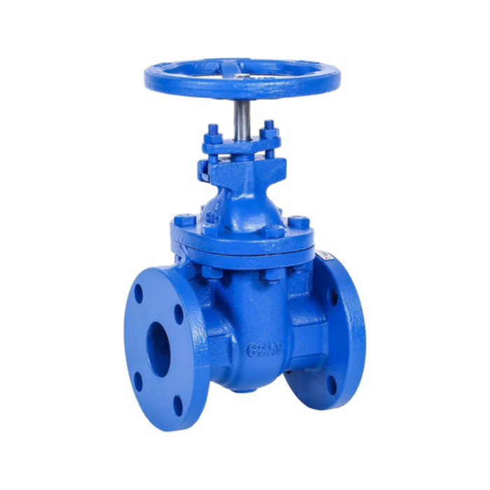 2" Cast Iron Gate Valve Metal Seated NRS