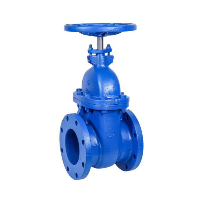 6" Cast Iron Gate Valve Metal Seated NRS