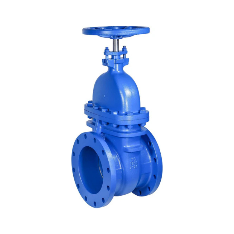 10" Cast Iron Gate Valve Metal Seated NRS