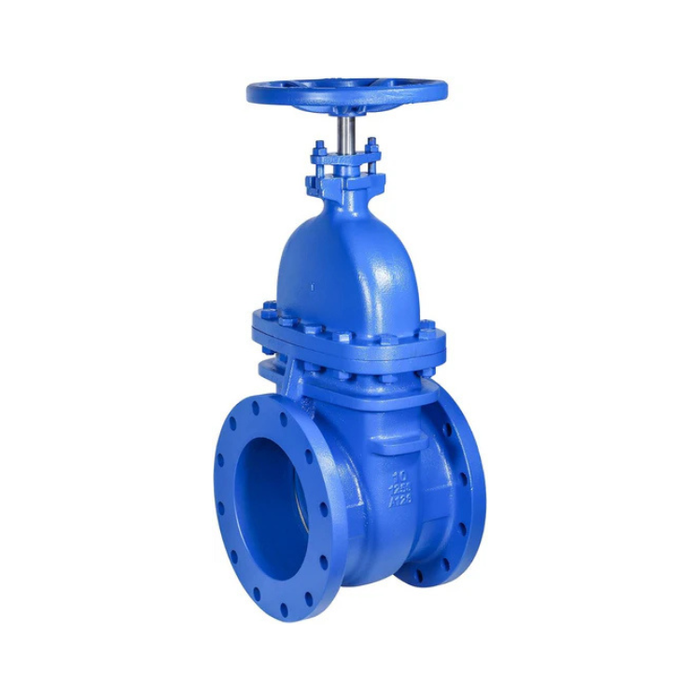 10" Cast Iron Gate Valve Metal Seated NRS