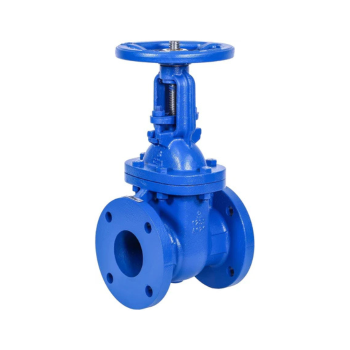 3" Ductile Iron Gate Valve Resilient Wedge RS