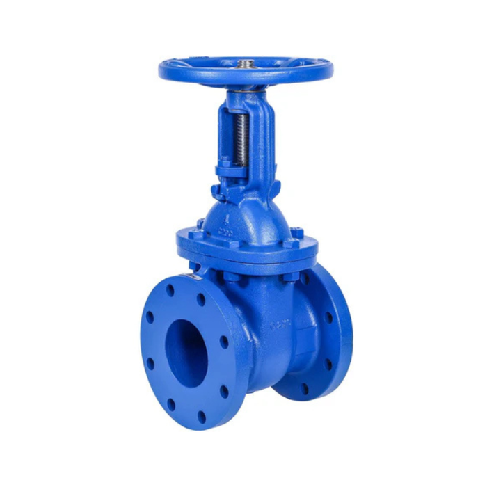4" Cast Iron Gate Valve Metal Seated RS