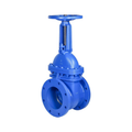 8" Cast Iron Gate Valve Metal Seated RS