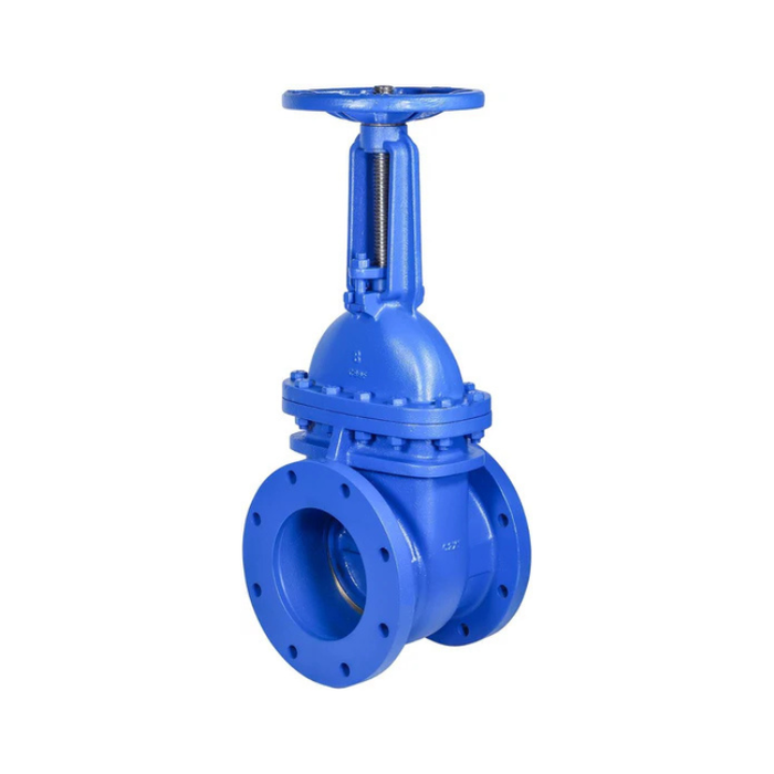 8" Cast Iron Gate Valve Metal Seated RS