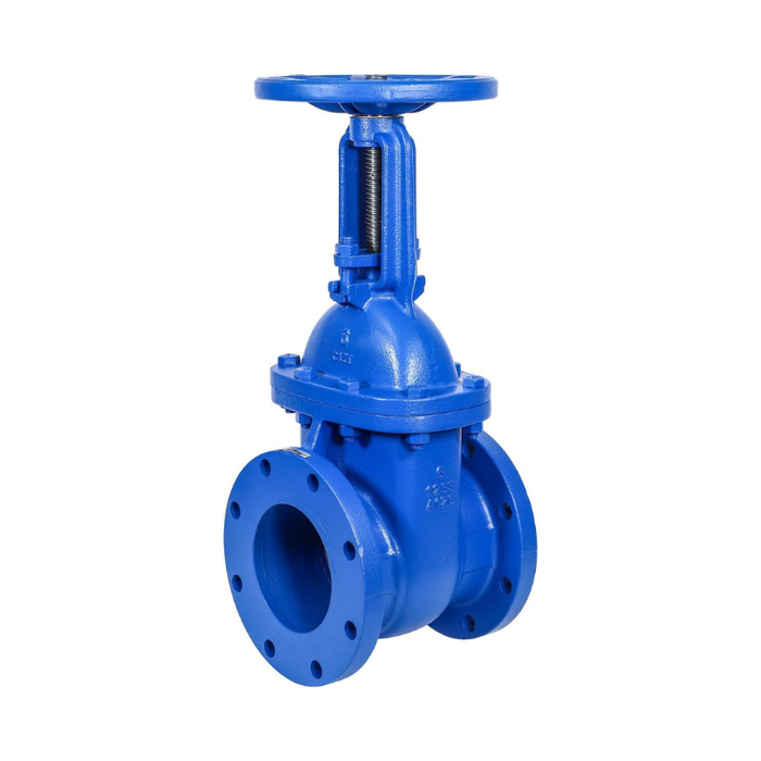 6" Cast Iron Gate Valve Metal Seated RS