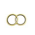 Cornell 6822MX Bearing Cover & Bracket Lip Seals (SET OF 2)