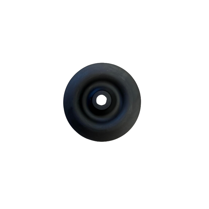 Vacuum Pump Inlet/Outlet Valve