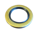 Lip Seal For Cornell 4NNT, 6NHTA