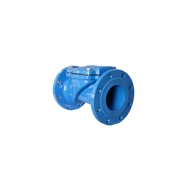 10" Check Valve