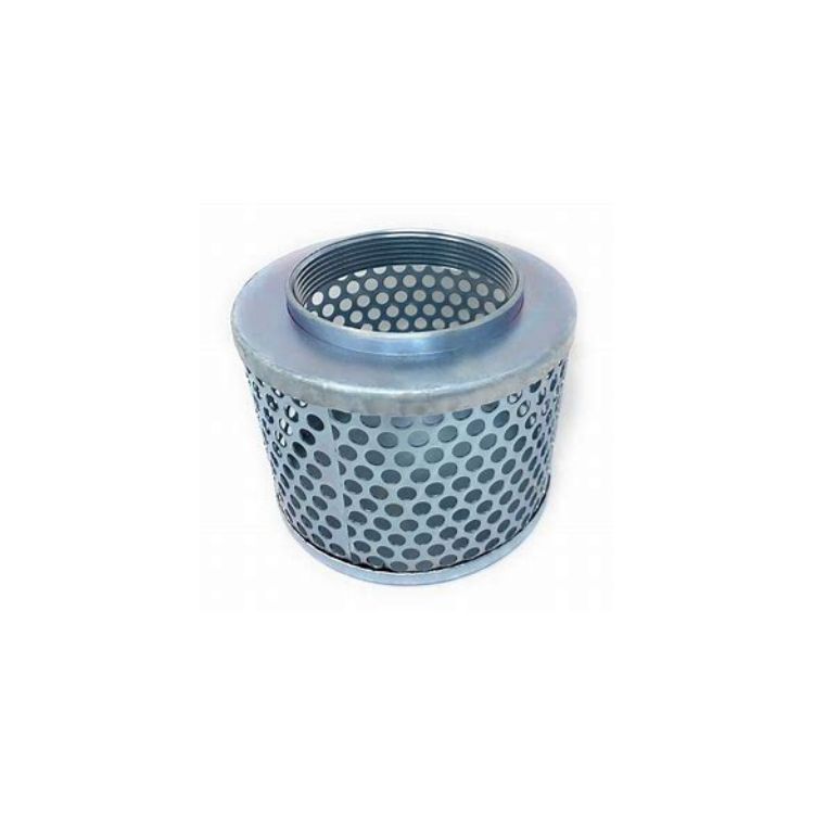 12" Small Hole Strainer NPT