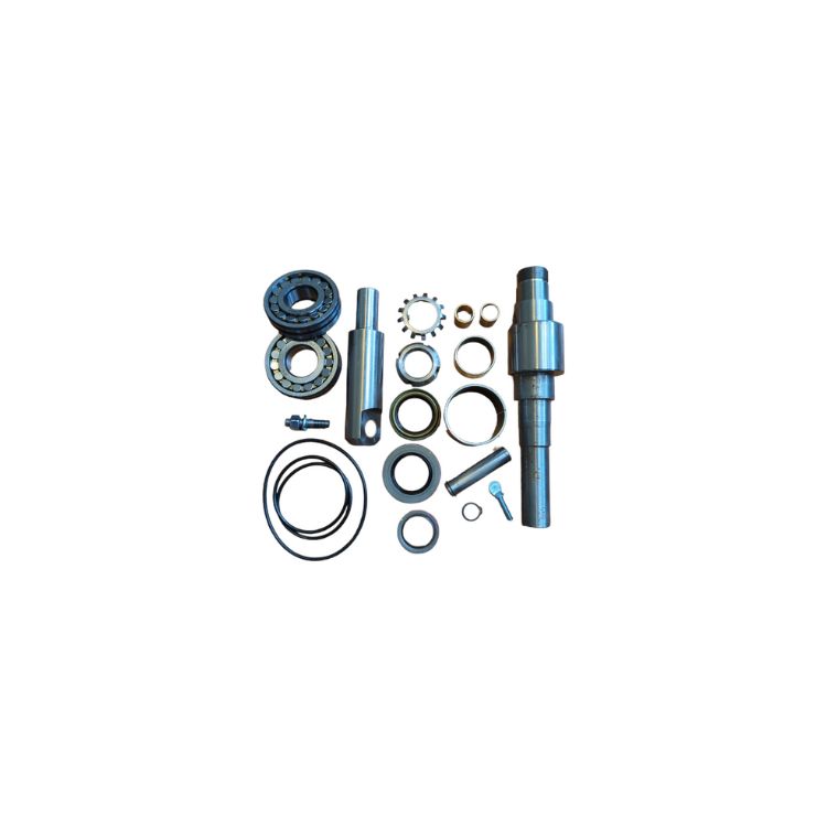 Lower Vacuum Pump Rebuild Kit